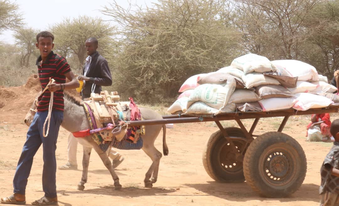 Livelihoods Image 7